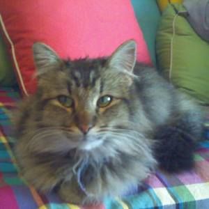 Meet your Posher, Sharon